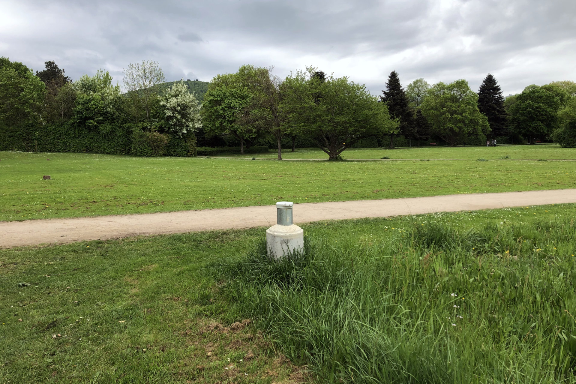 Klimaneutrale Quartiersversorgung Denzlingen